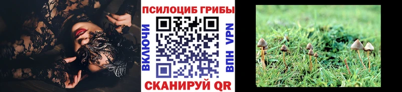 Галлюциногенные грибы прущие грибы  Южноуральск 